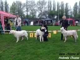 chosna_3_20211128_1064873355